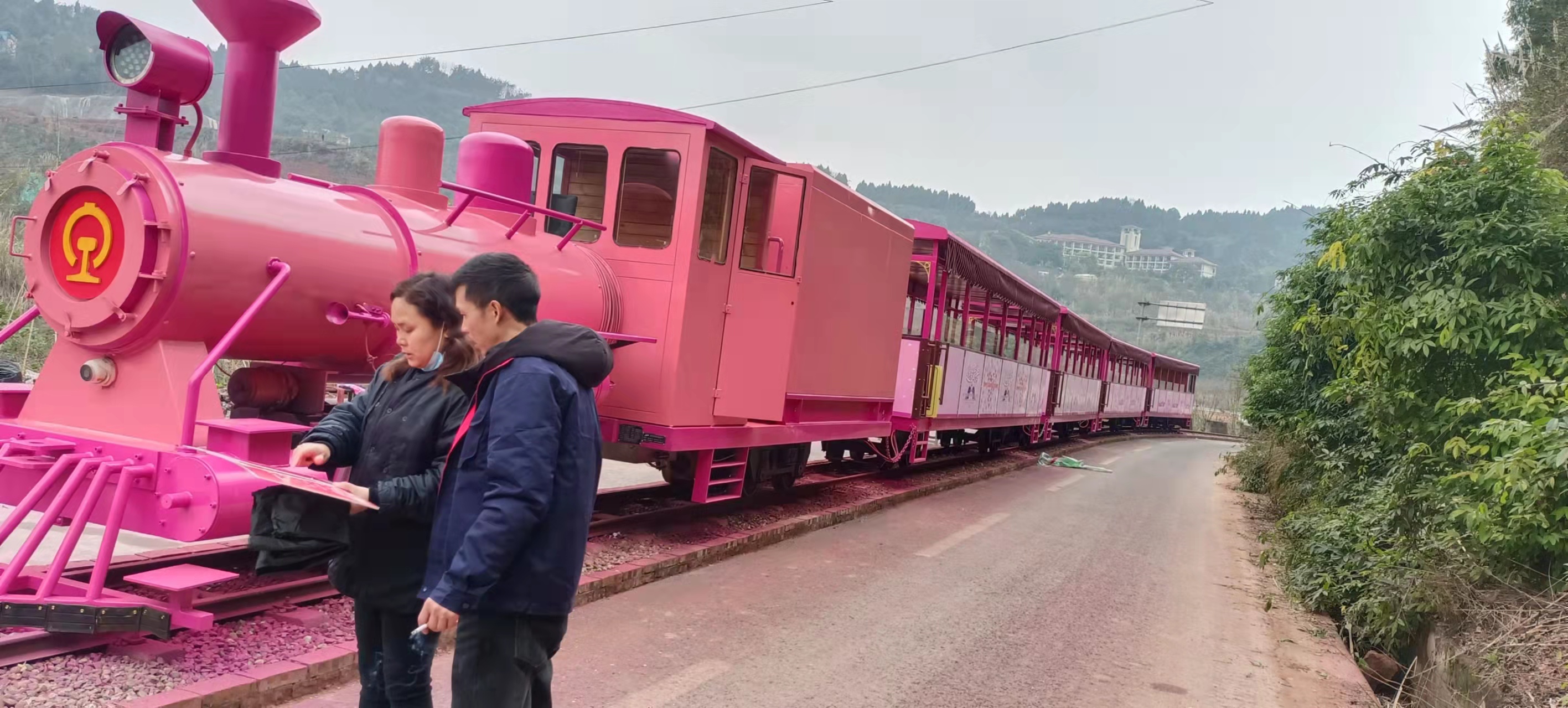 鳳埡山景區小火車改造項目